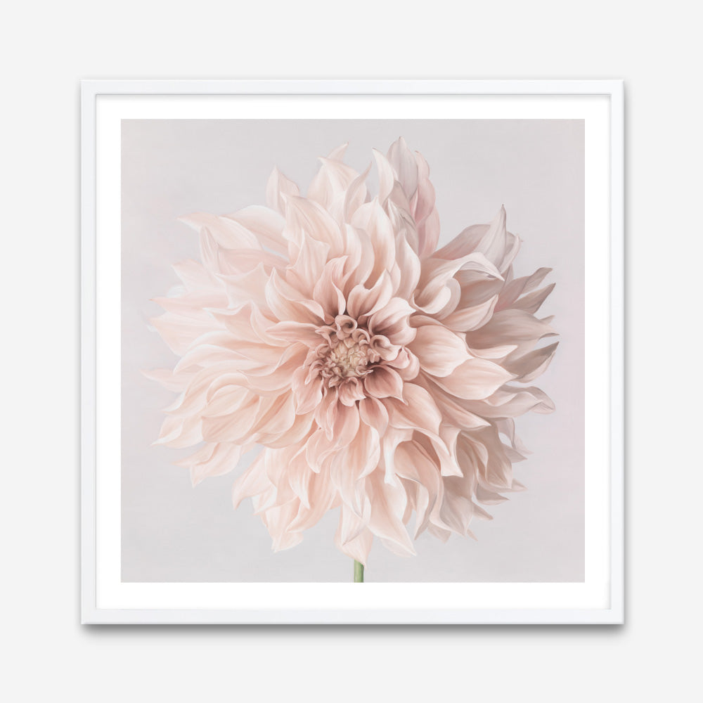 Pastel Peach Dahlia Flower (Square) Art Print