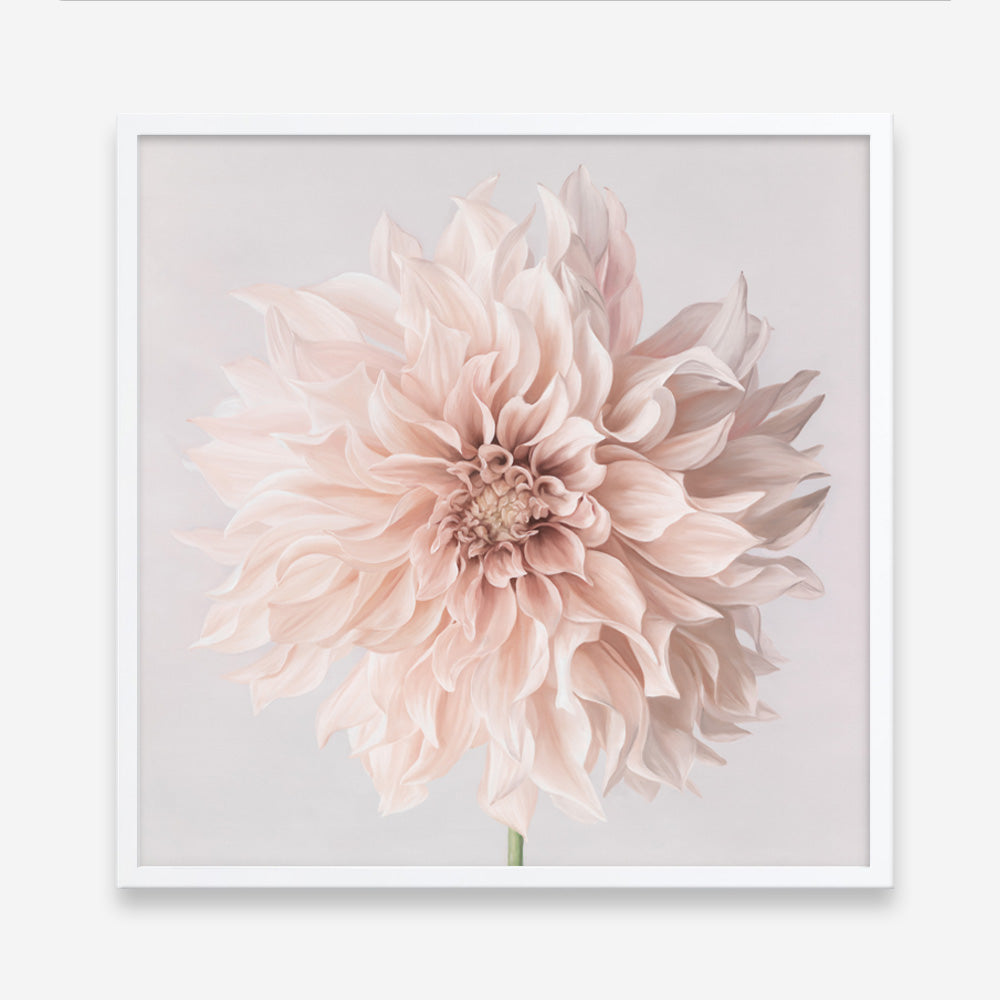 Pastel Peach Dahlia Flower (Square) Art Print
