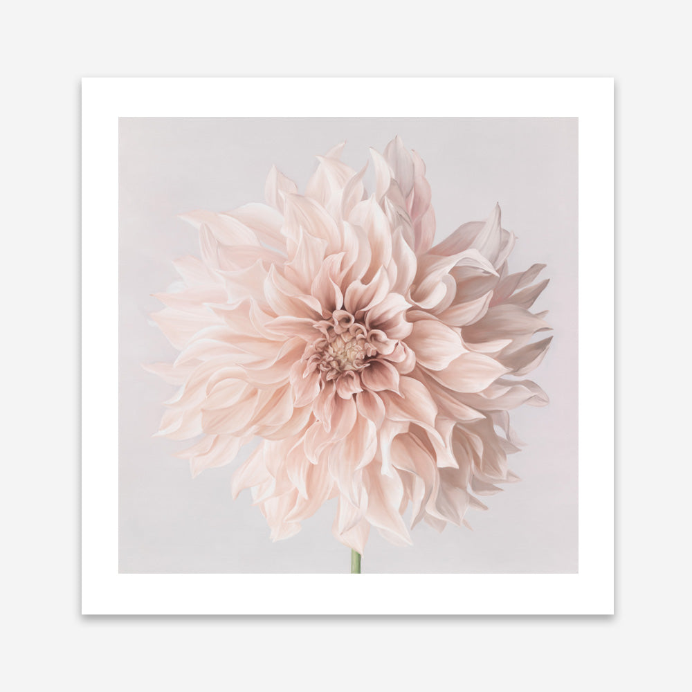 Pastel Peach Dahlia Flower (Square) Art Print