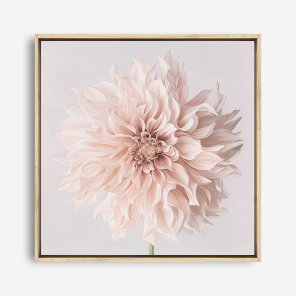 Pastel Peach Dahlia Flower (Square) Canvas Print