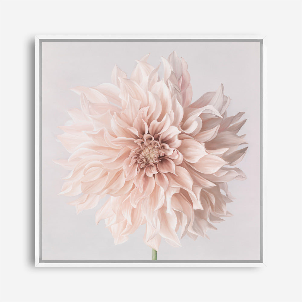 Pastel Peach Dahlia Flower (Square) Canvas Print