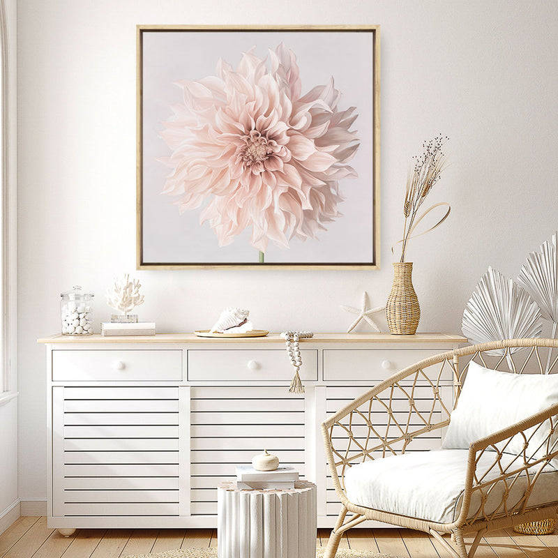 Pastel Peach Dahlia Flower (Square) Canvas Print