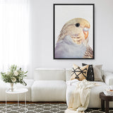 Sammy The Budgerigar Canvas Print