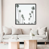 California Palms II (Square) Canvas Print