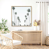 California Palms II (Square) Canvas Print