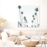 California Palms II (Square) Canvas Print