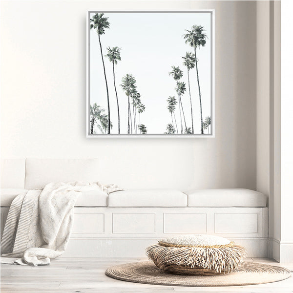 California Palms II (Square) Canvas Print