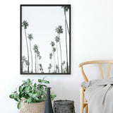 California Palms II Art Print