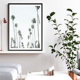California Palms II Art Print