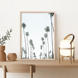 California Palms II Art Print