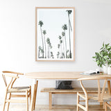 California Palms II Art Print