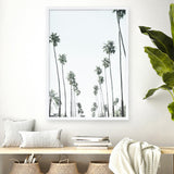 California Palms II Art Print