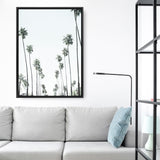 California Palms II Canvas Print
