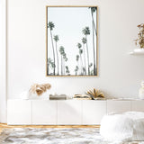 California Palms II Canvas Print