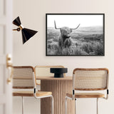 Highland Cow B&W Photo Art Print