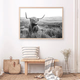Highland Cow B&W Photo Art Print