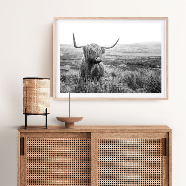 Highland Cow B&W Photo Art Print