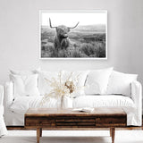 Highland Cow B&W Photo Art Print