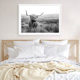 Highland Cow B&W Photo Art Print
