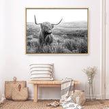 Highland Cow B&W Photo Canvas Print