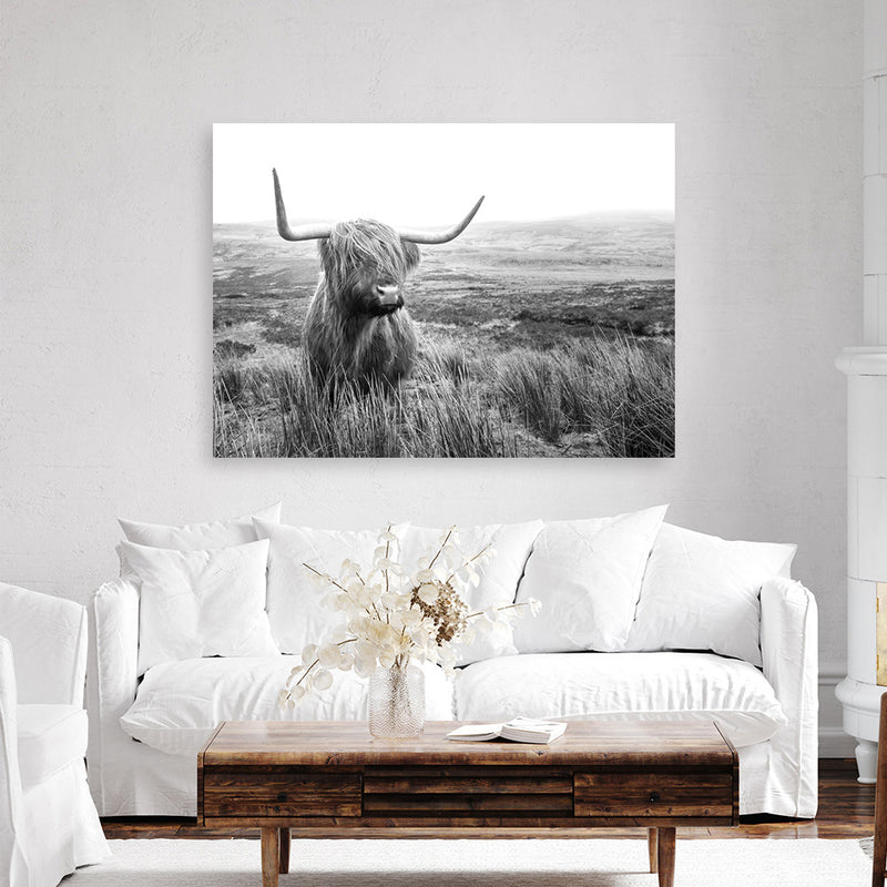 Highland Cow B&W Photo Canvas Print