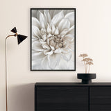 White Dahlia Art Print