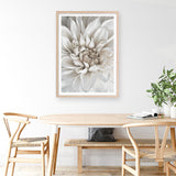 White Dahlia Art Print