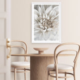 White Dahlia Art Print