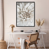 White Dahlia Canvas Print
