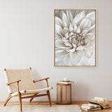 White Dahlia Canvas Print