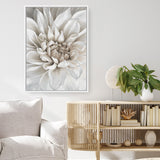 White Dahlia Canvas Print
