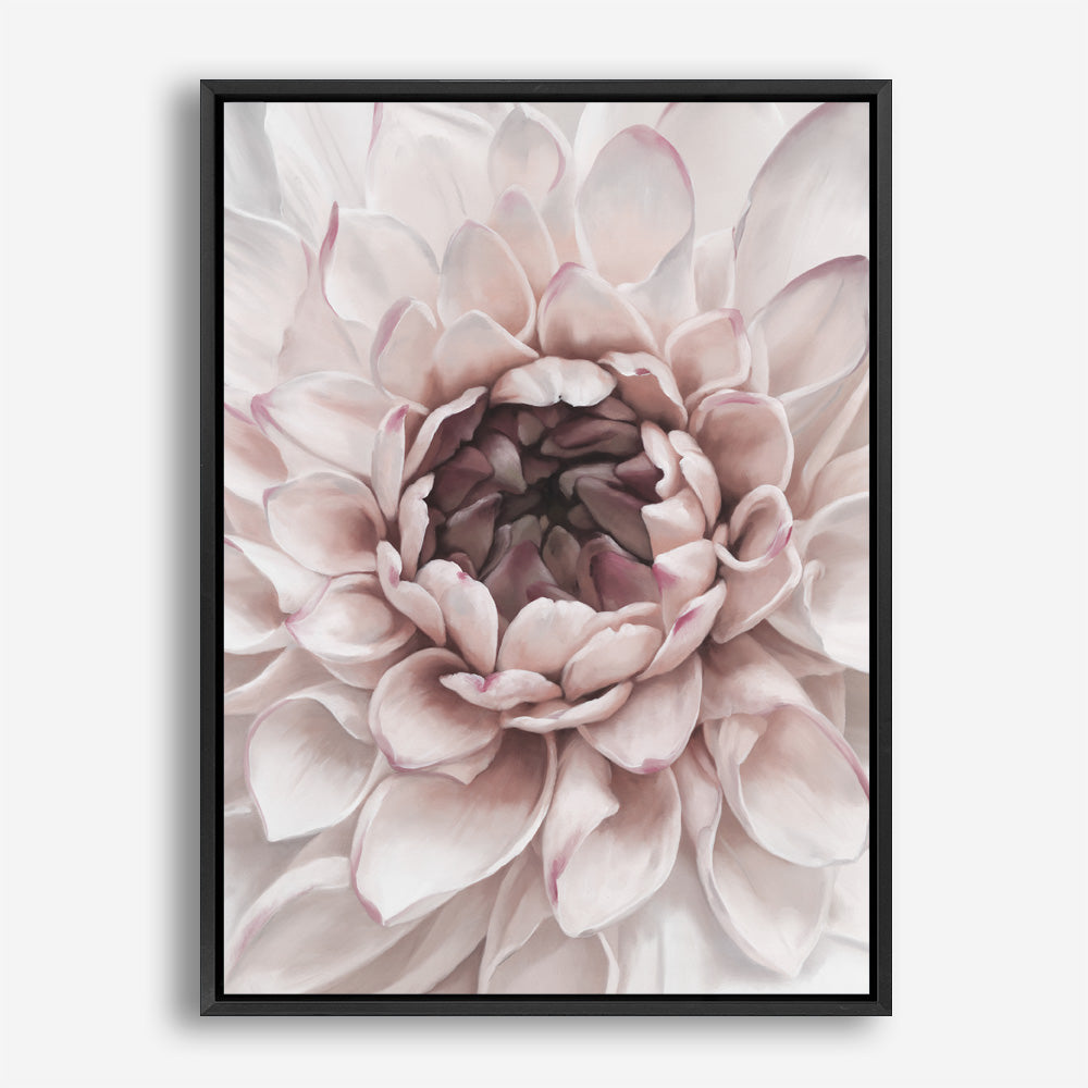 Divine Dahlia II Canvas Print