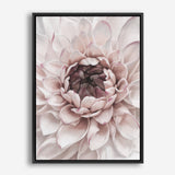 Divine Dahlia II Canvas Wall Art Print