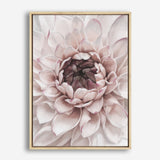 Divine Dahlia II Canvas Wall Art Print