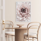 Divine Dahlia II Canvas Wall Art Print