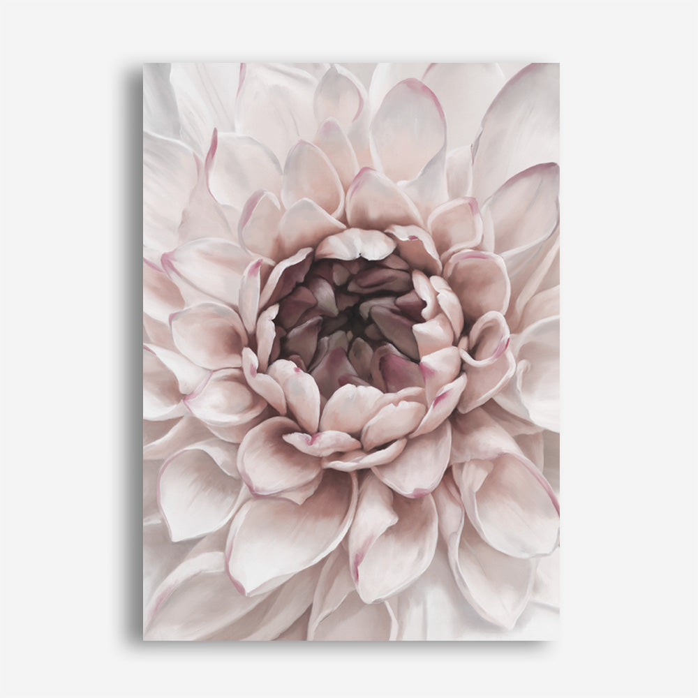 Divine Dahlia II Canvas Print