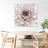 Divine Dahlia II (Square) Canvas Print