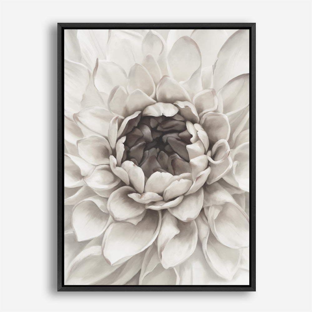 Divine Dahlia III Canvas Print
