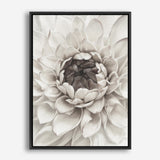 Divine Dahlia III Canvas Wall Art Print