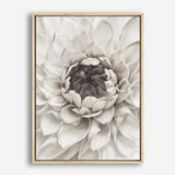 Divine Dahlia III Canvas Wall Art Print