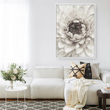 Divine Dahlia III Canvas Wall Art Print