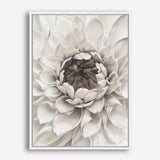 Divine Dahlia III Canvas Wall Art Print