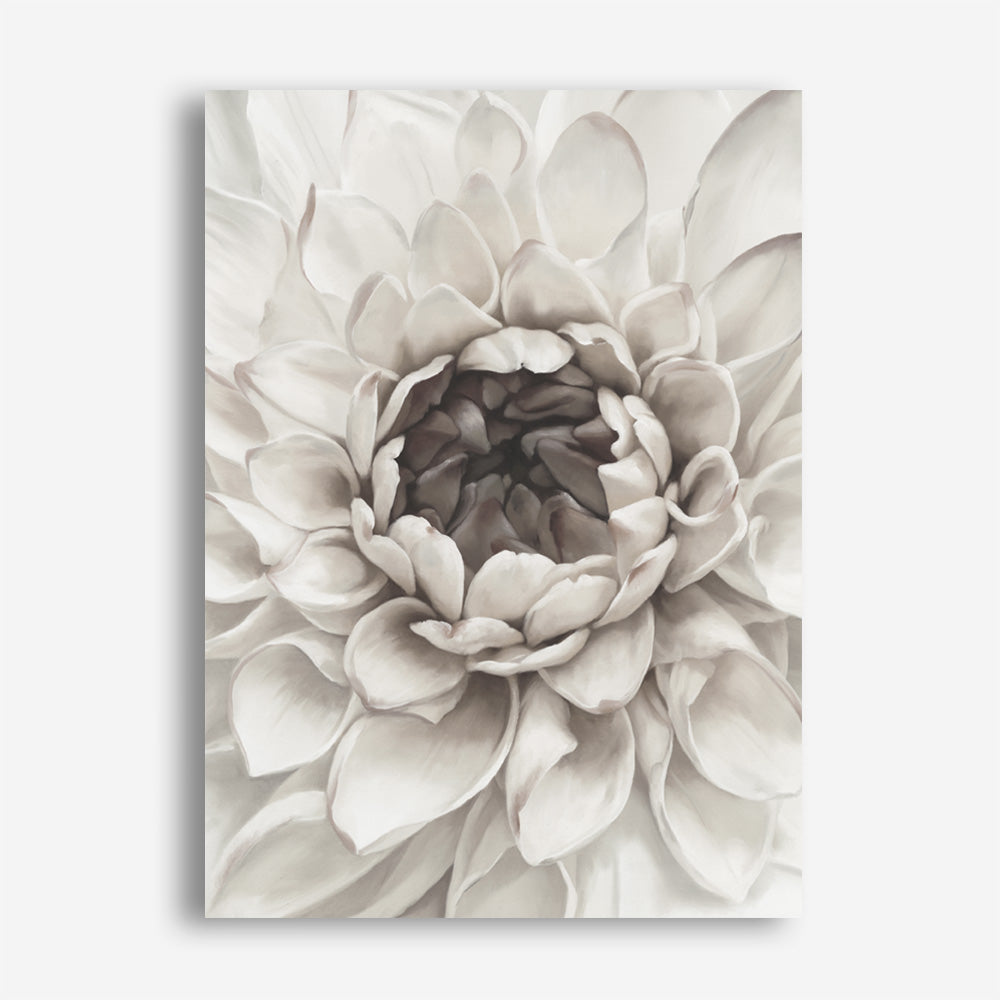 Divine Dahlia III Canvas Print