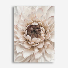 Divine Dahlia IV Canvas Wall Art Print
