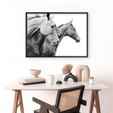 Grey Horses Photo Art Print
