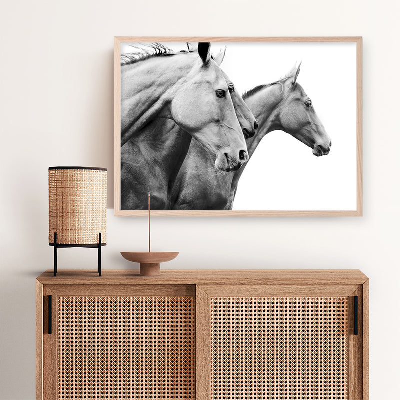 Grey Horses Photo Art Print
