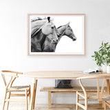 Grey Horses Photo Art Print