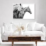 Grey Horses Photo Art Print