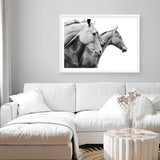 Grey Horses Photo Art Print