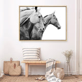 Grey Horses Photo Canvas Print
